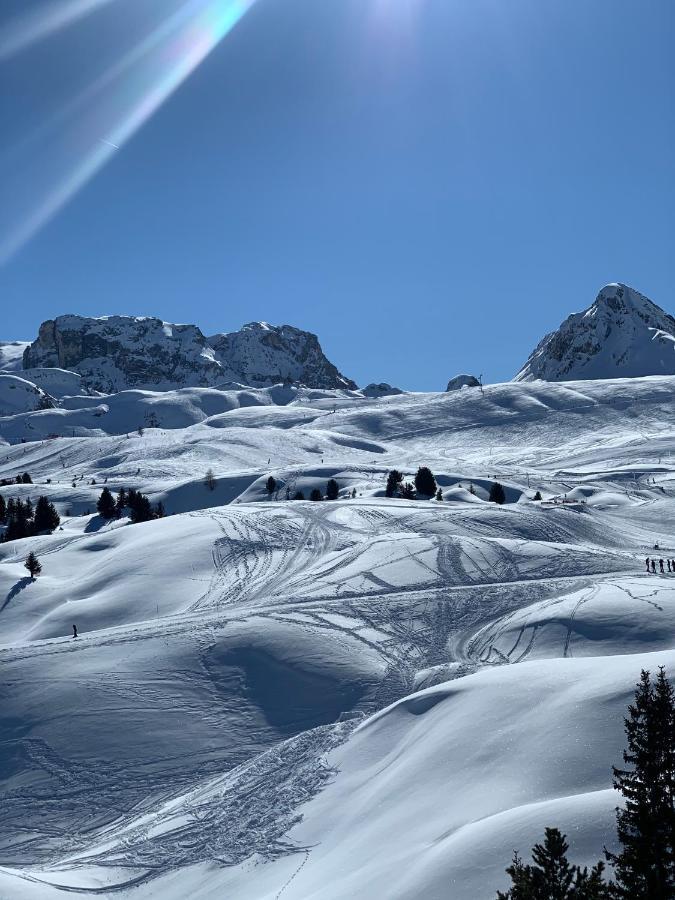 Bel Appartement Ski Aux Pieds Plagne Bellecote La Plagne Exteriör bild