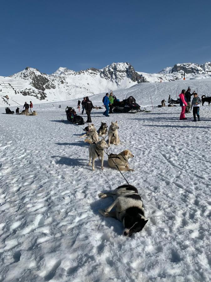 Bel Appartement Ski Aux Pieds Plagne Bellecote La Plagne Exteriör bild