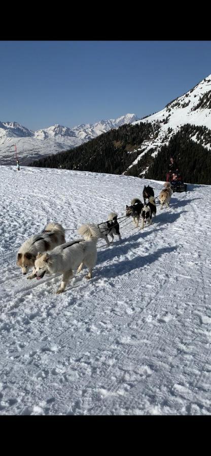 Bel Appartement Ski Aux Pieds Plagne Bellecote La Plagne Exteriör bild