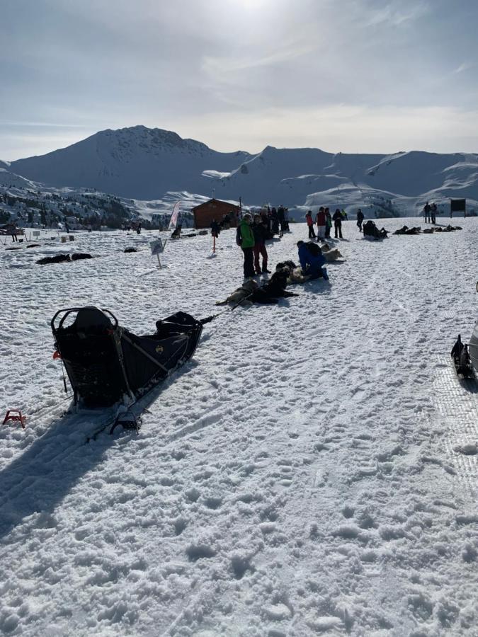 Bel Appartement Ski Aux Pieds Plagne Bellecote La Plagne Exteriör bild